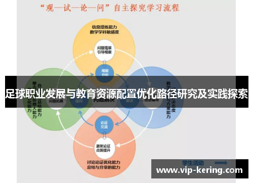 足球职业发展与教育资源配置优化路径研究及实践探索